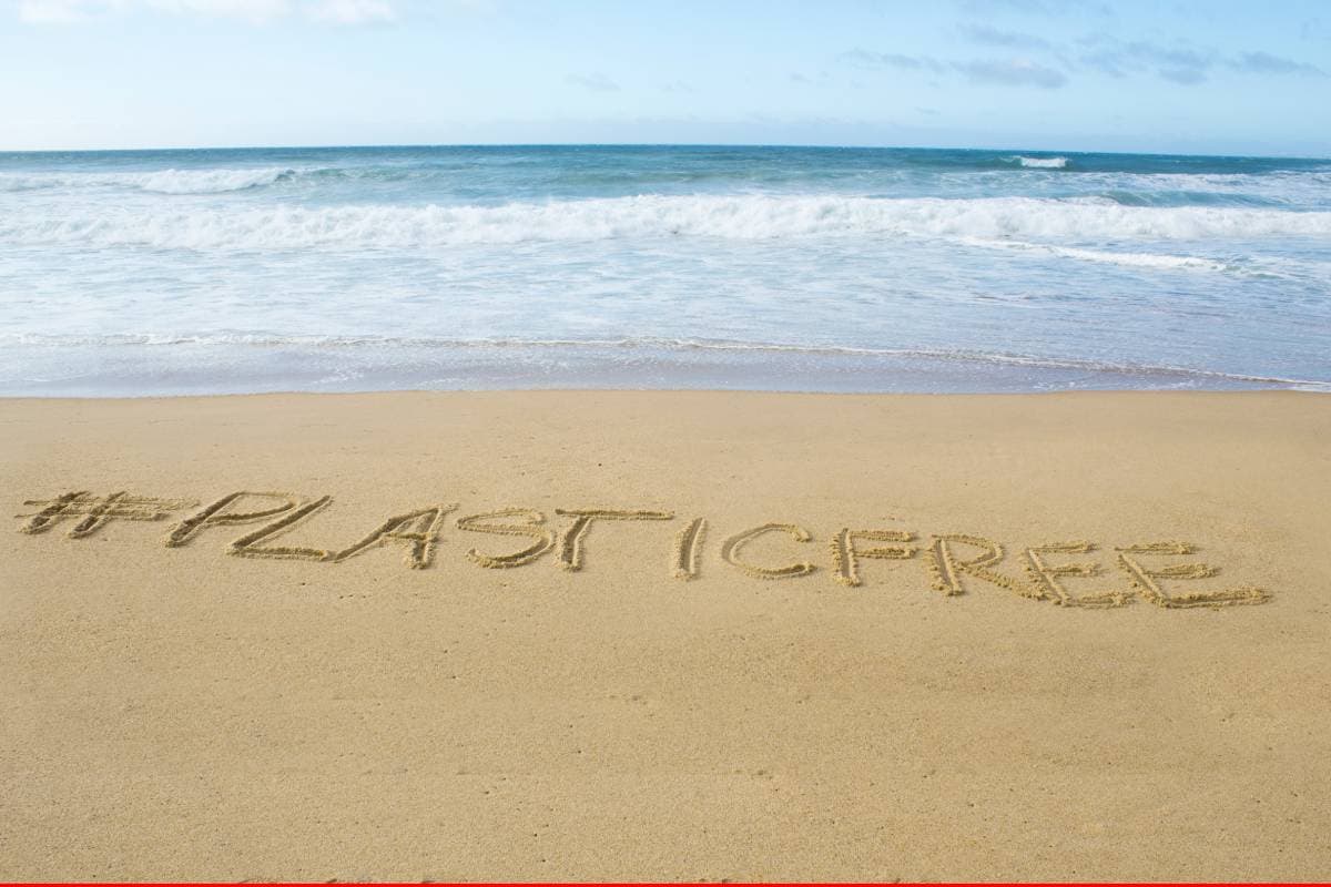 Vita da spiaggia: le 5 regole d'oro del turista green