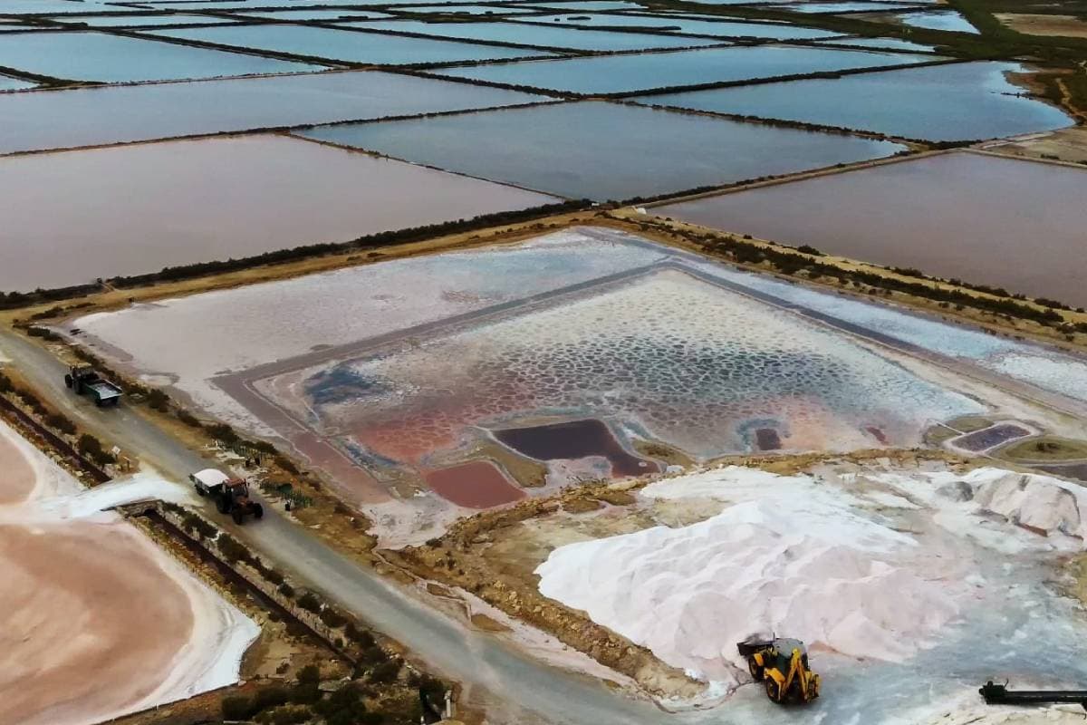 Un viaggio nelle Saline di Cervia, tra montagne di sale e fenicotteri rosa