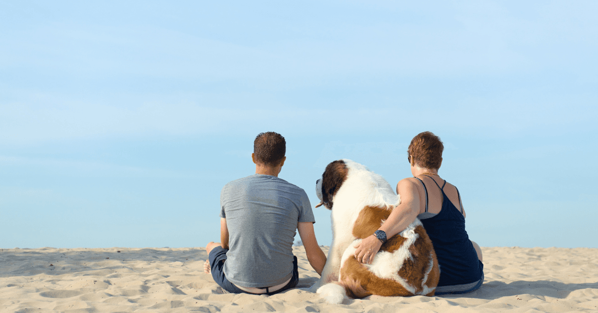 I migliori stabilimenti balneari per cani a Gallipoli