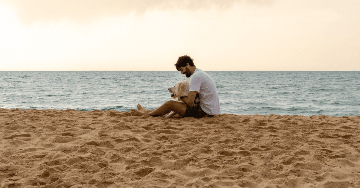 I migliori stabilimenti balneari per cani a Massa Lubrense