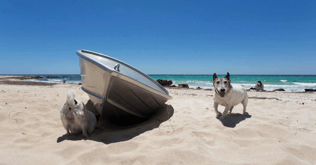 I migliori stabilimenti balneari per cani ad Avola