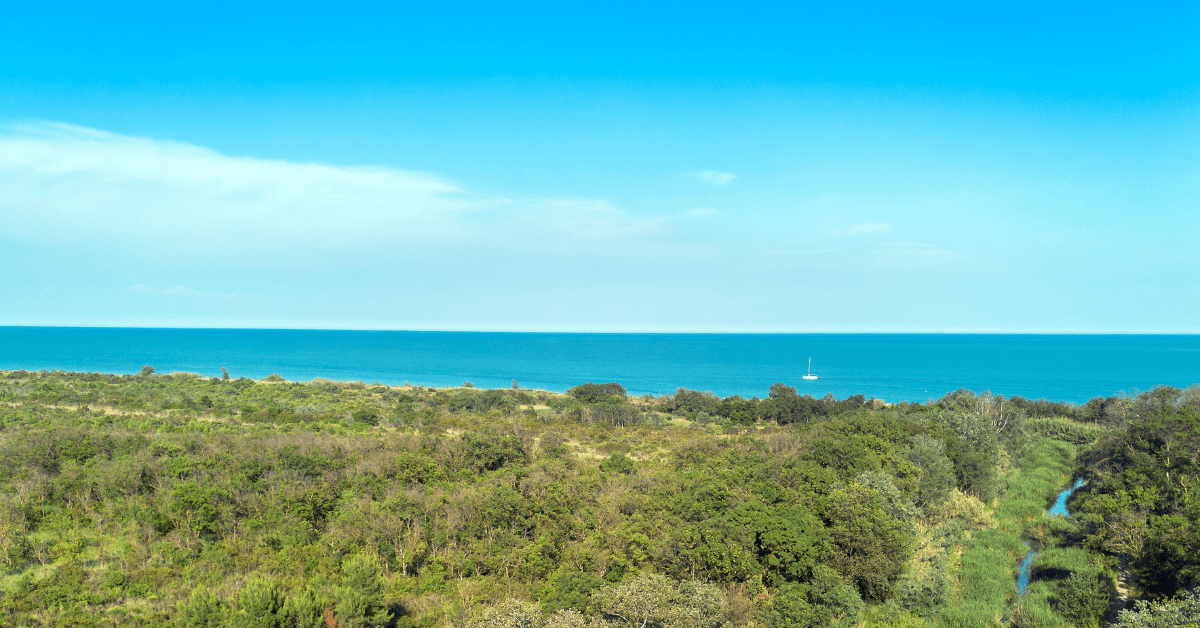 Riserva Naturale Bosco Pantano di Policoro: Guida Completa 2026