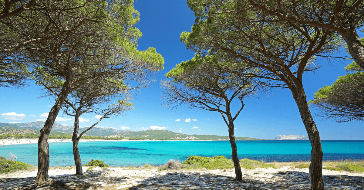 Cosa Vedere a Budoni nel 2026: Guida Completa per l'Estate