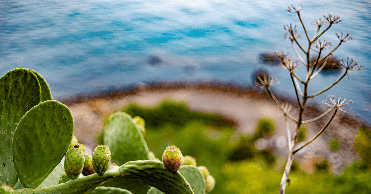 Cosa vedere in Sicilia: 10 posti da non perdere per l'estate 2024