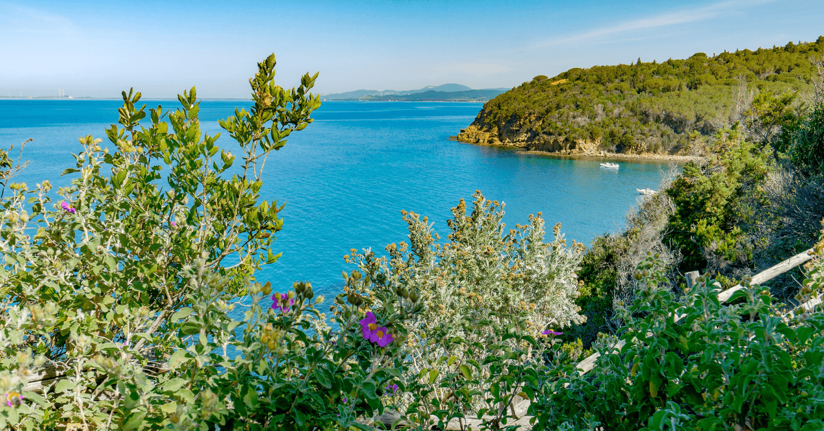 Cosa vedere a Follonica 2026: Guida Completa Estate e Dintorni