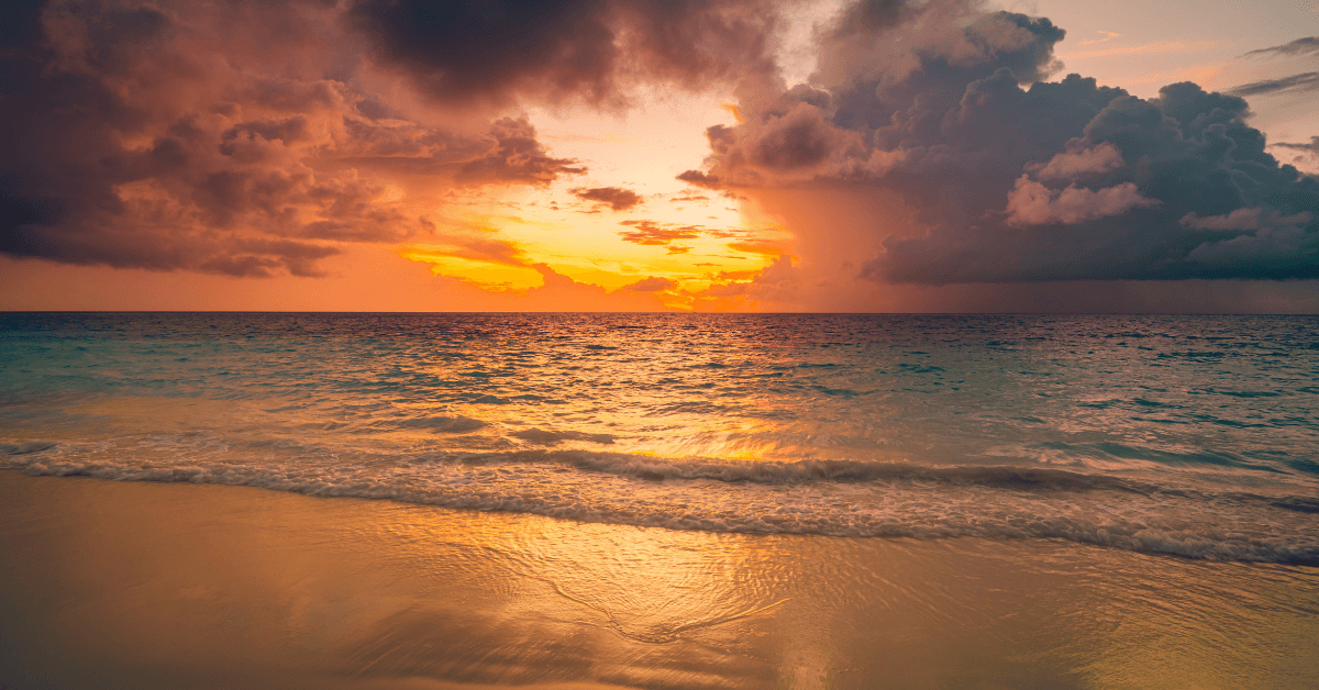 Cosa vedere a Metaponto in Basilicata: guida 2026 per famiglie