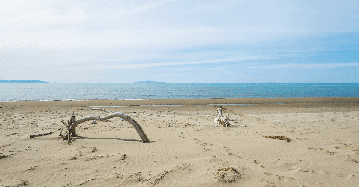 Le spiagge più belle del Parco Naturale della Maremma: foto e mappa