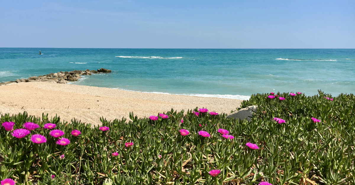 Porto Recanati 2026: Cosa Vedere e Vivere tra Mare e Storia