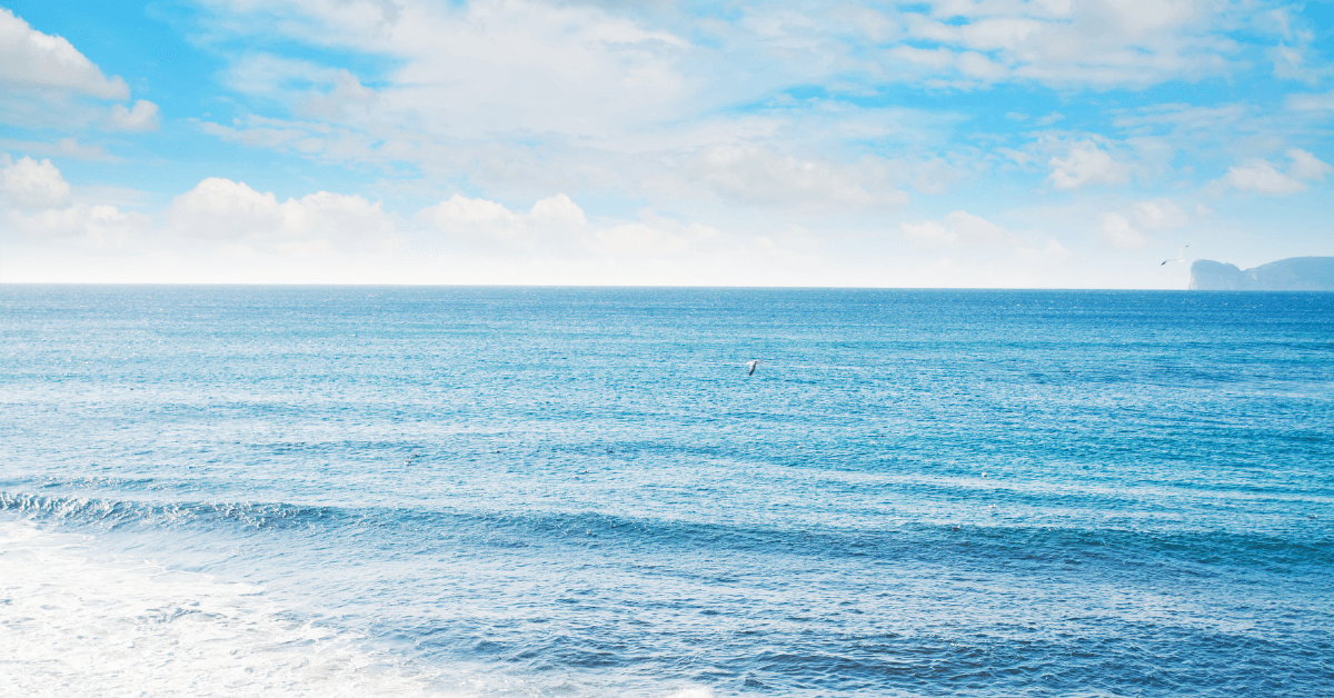 Le Spiagge Più Belle di Camogli: Guida 2026