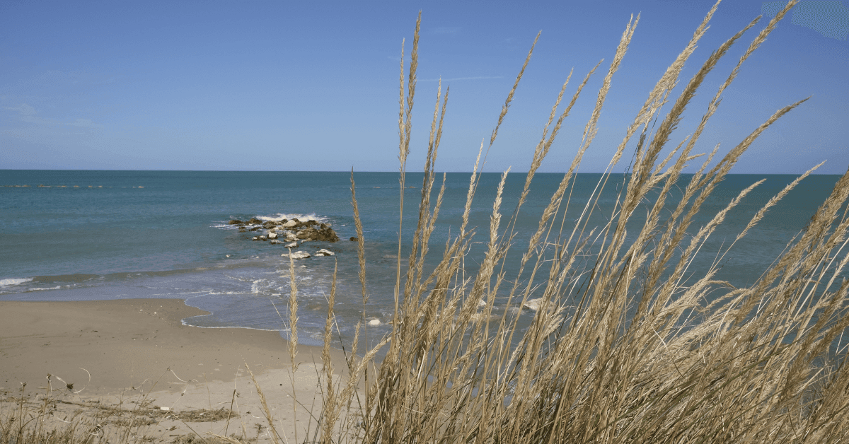 Le migliori spiagge di Campomarino