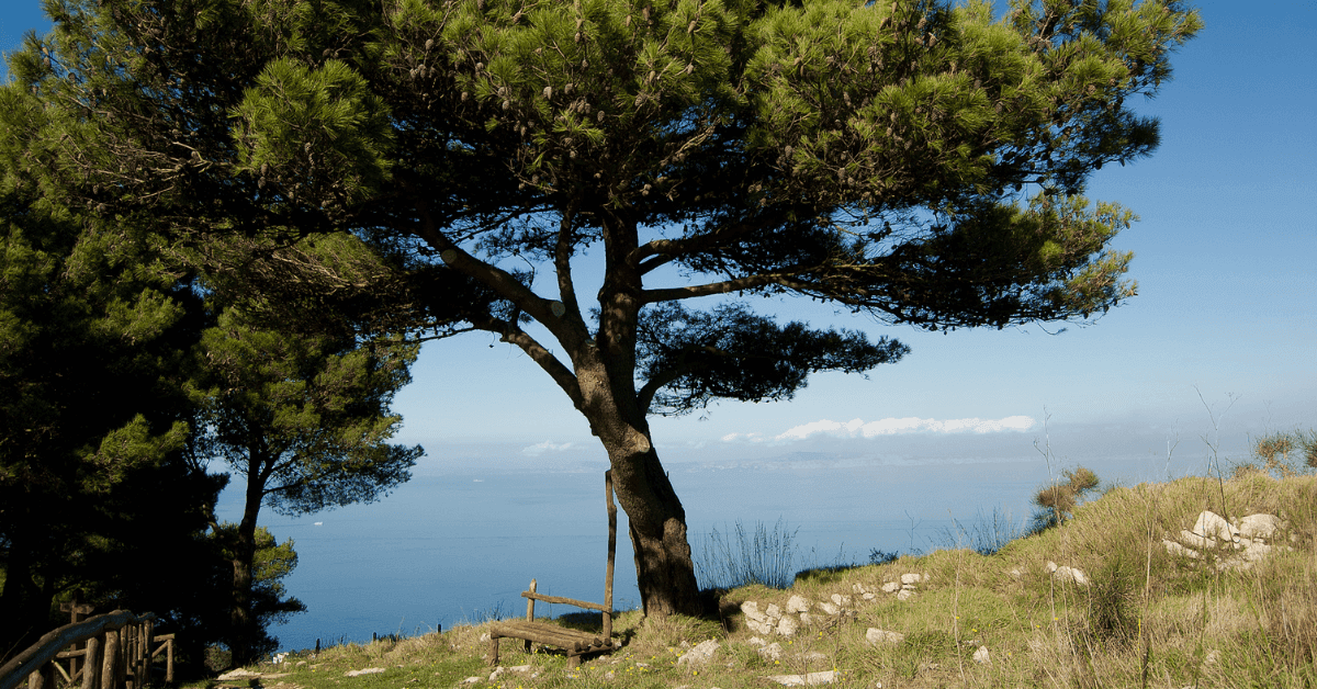 Le spiagge più belle di Massa Lubrense