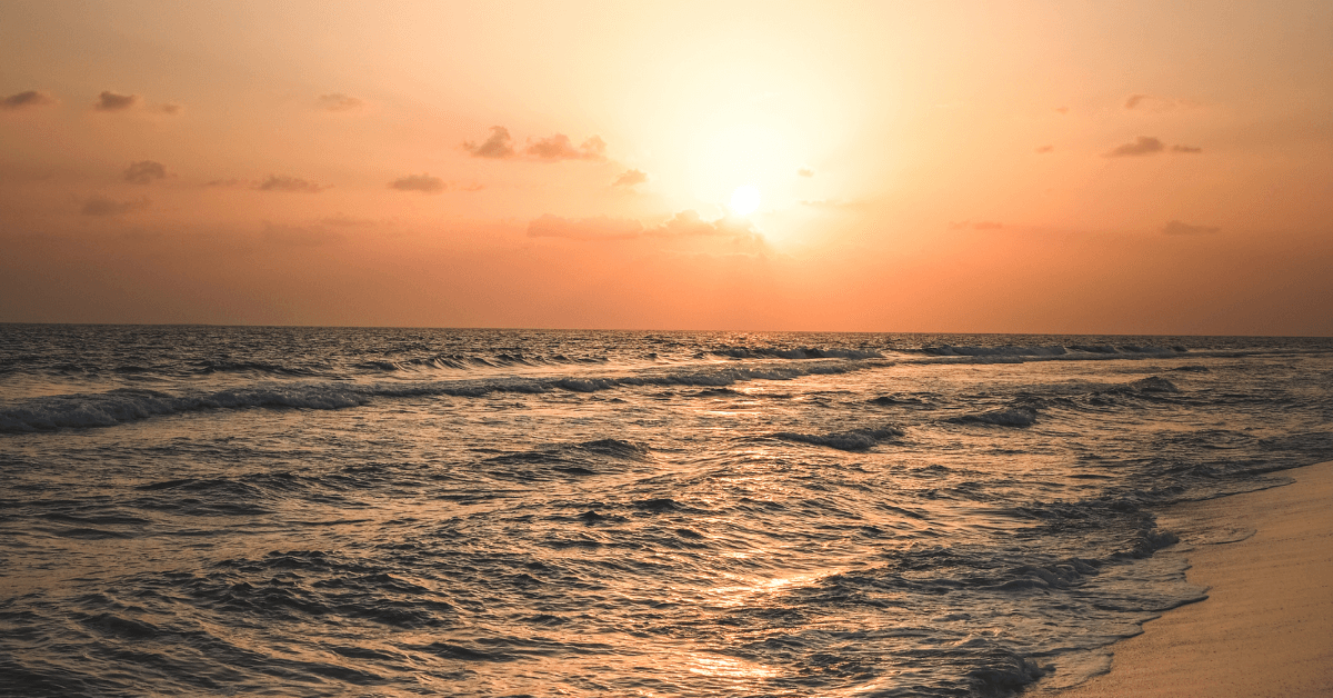 Le Spiagge Più Belle di Palau: Guida 2026