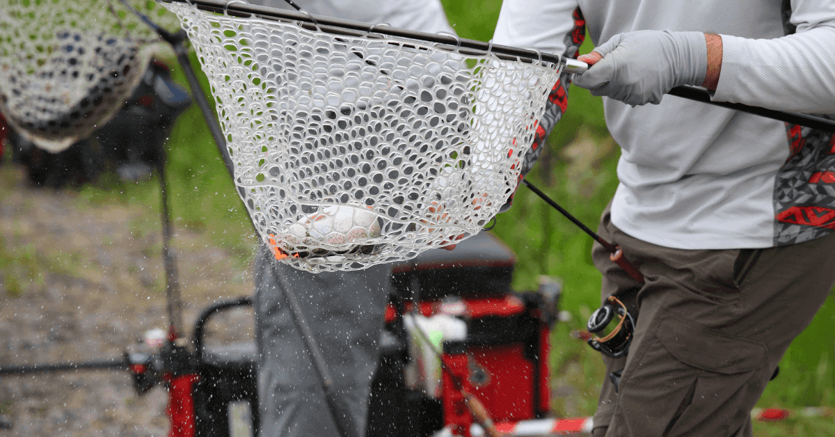 Basilicata: le migliori destinazioni per la pesca sportiva a contatto con la natura
