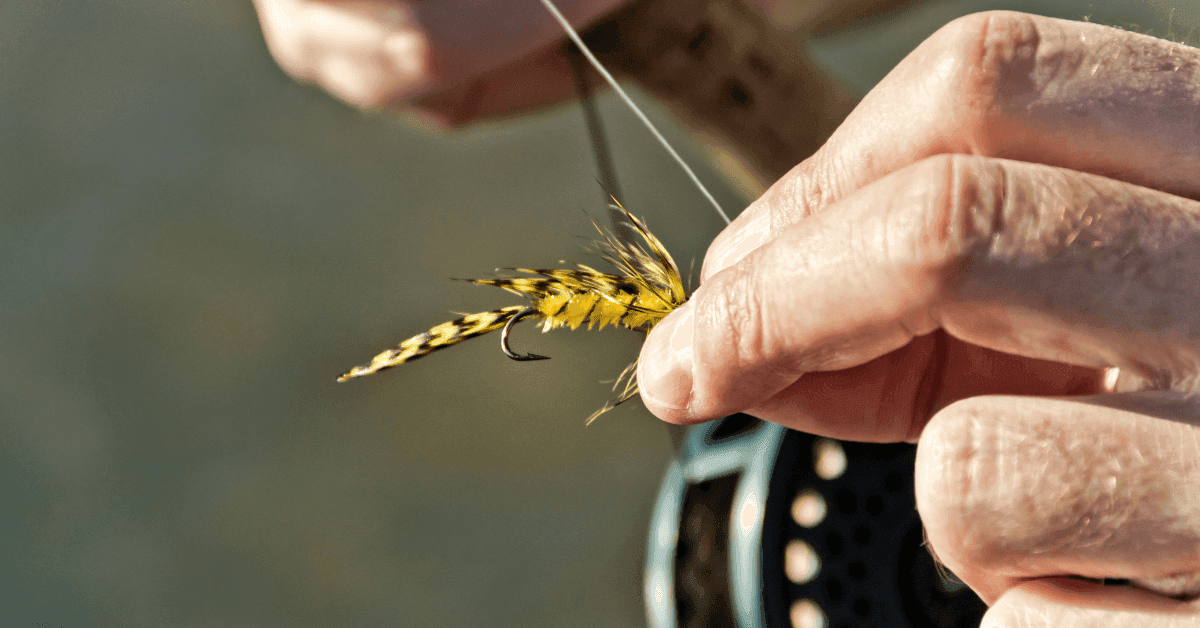 Campania: le migliori destinazioni per la pesca sportiva a contatto con la natura