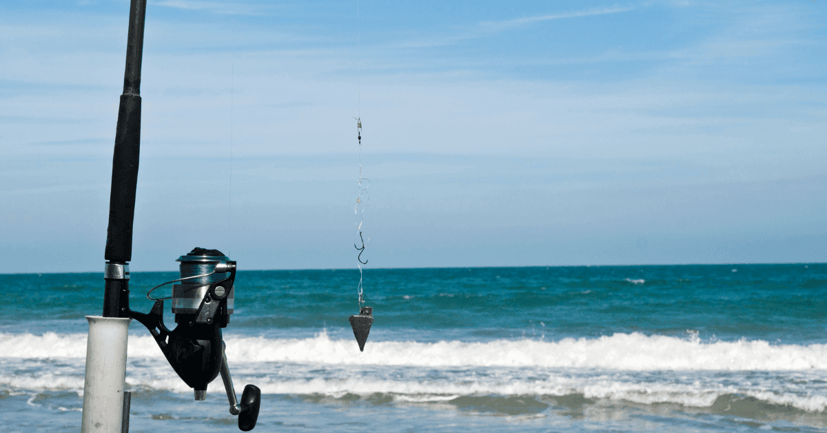 Marche: le migliori destinazioni per la pesca sportiva a contatto con la natura