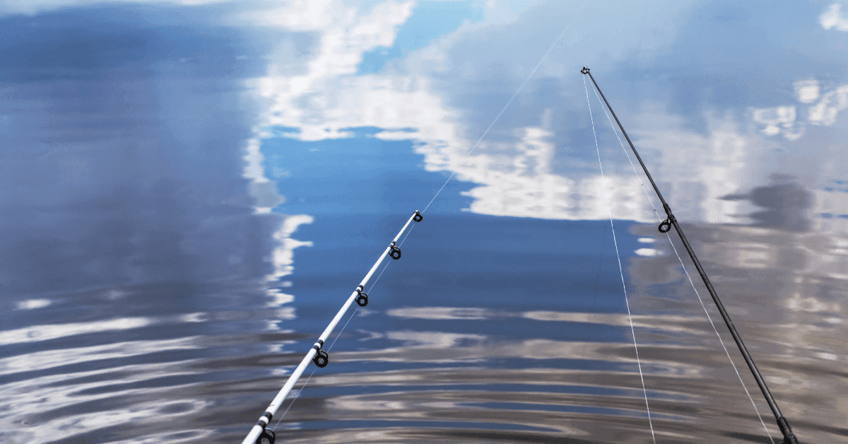 Molise: le migliori destinazioni per la pesca sportiva a contatto con la natura