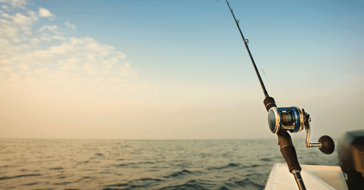 Riviera Romagnola: le migliori destinazioni per la pesca sportiva a contatto con la natura