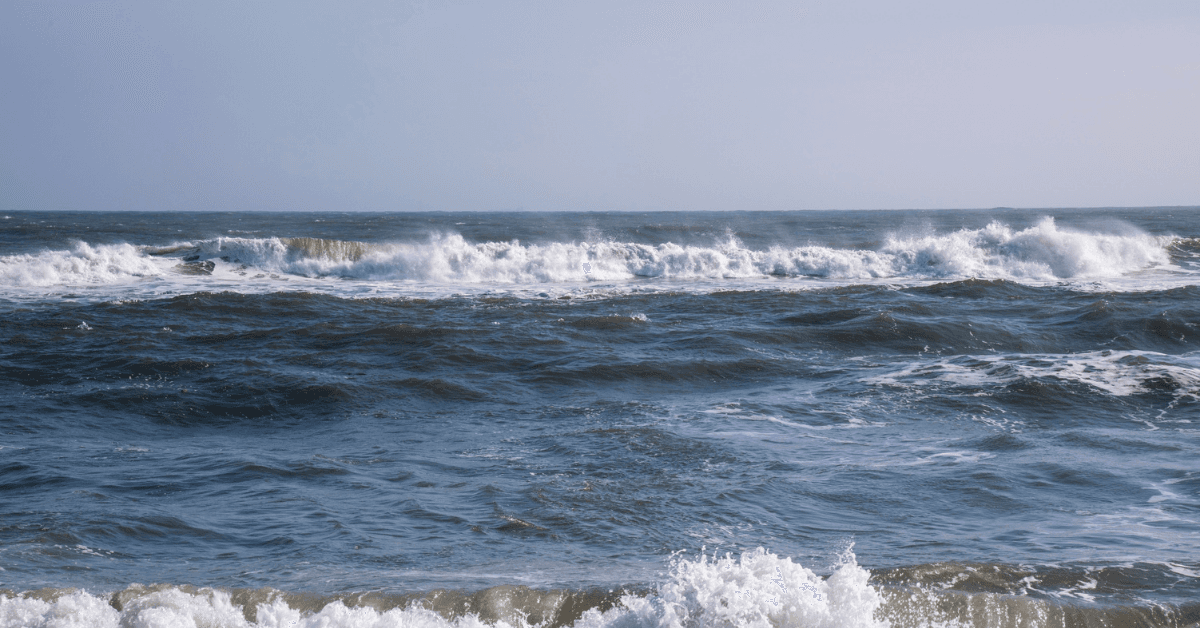 Spiagge più belle Santa Severa: Guida 2026