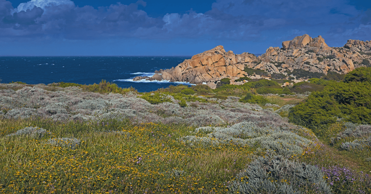 Le Spiagge più Belle di Santa Teresa Gallura 2026 | Spiagge.it