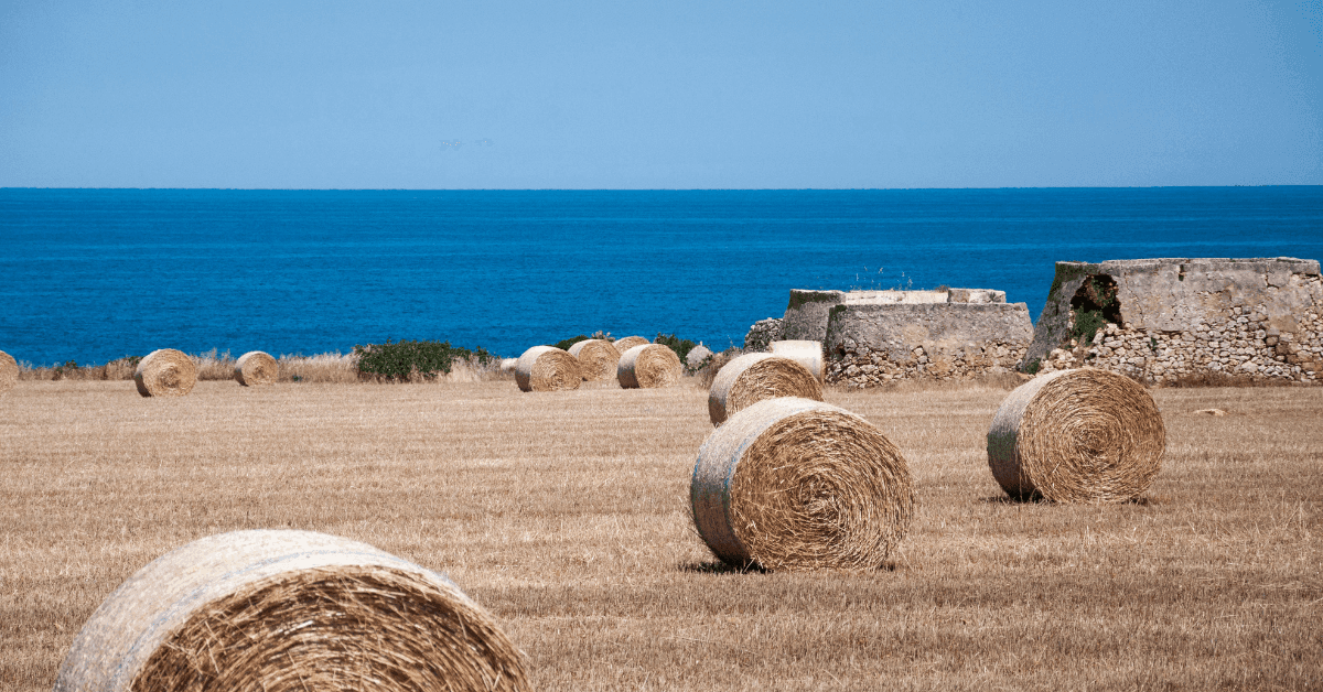 Le spiagge più belle di Savelletri