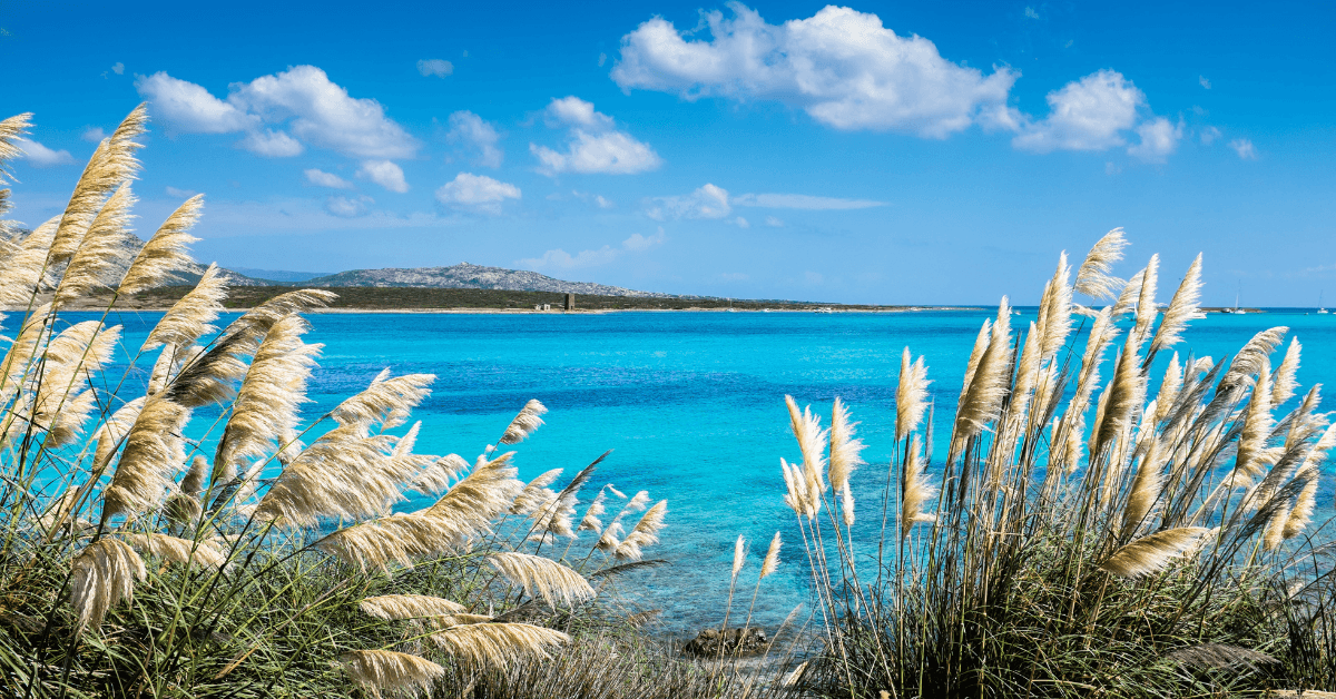 Spiaggia La Pelosa a Stintino: Perla della Sardegna tra le più belle d'Italia
