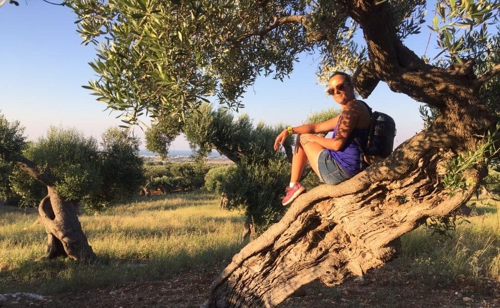 Provincia di Brindisi
