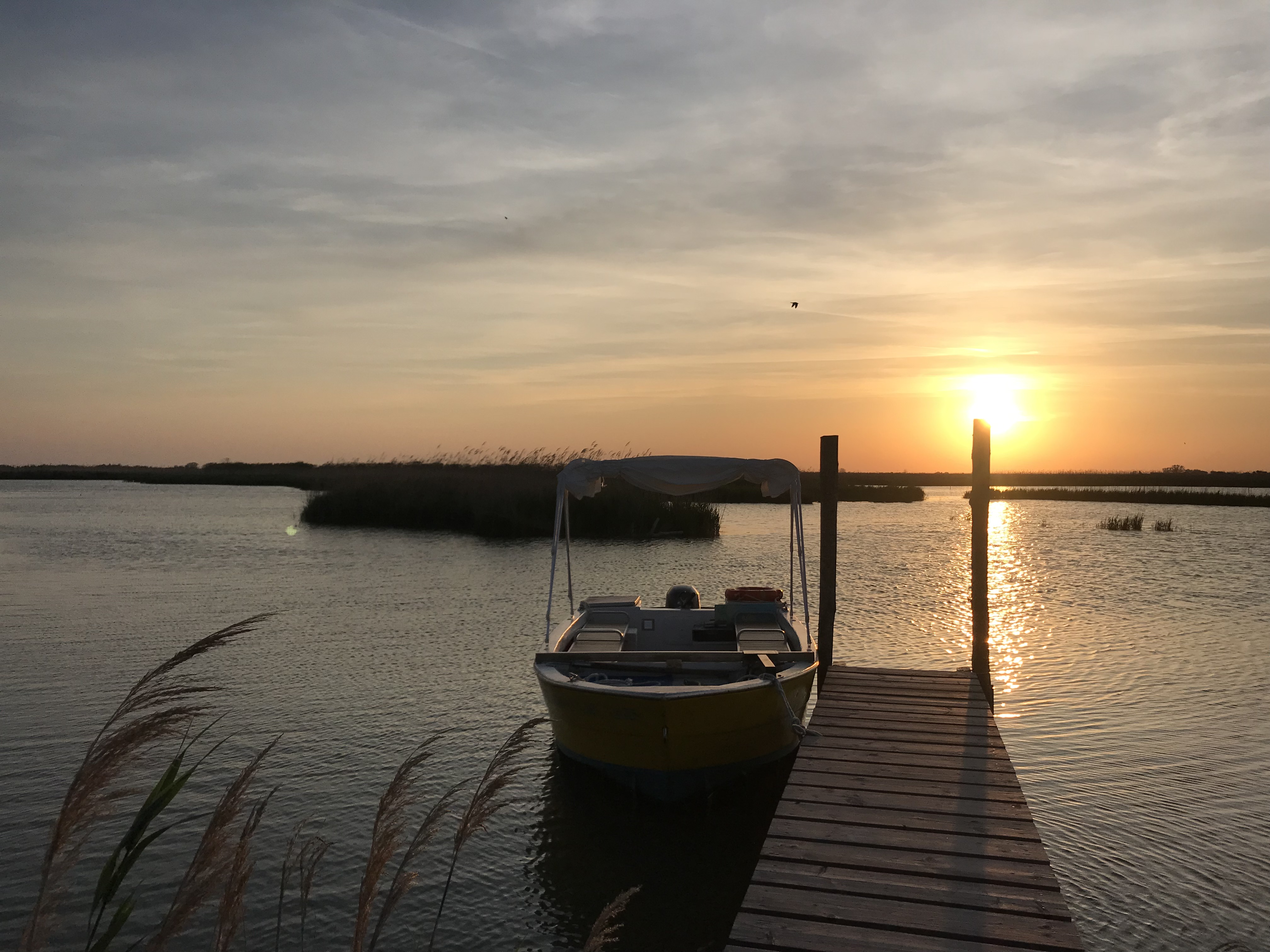 Provincia di Rovigo