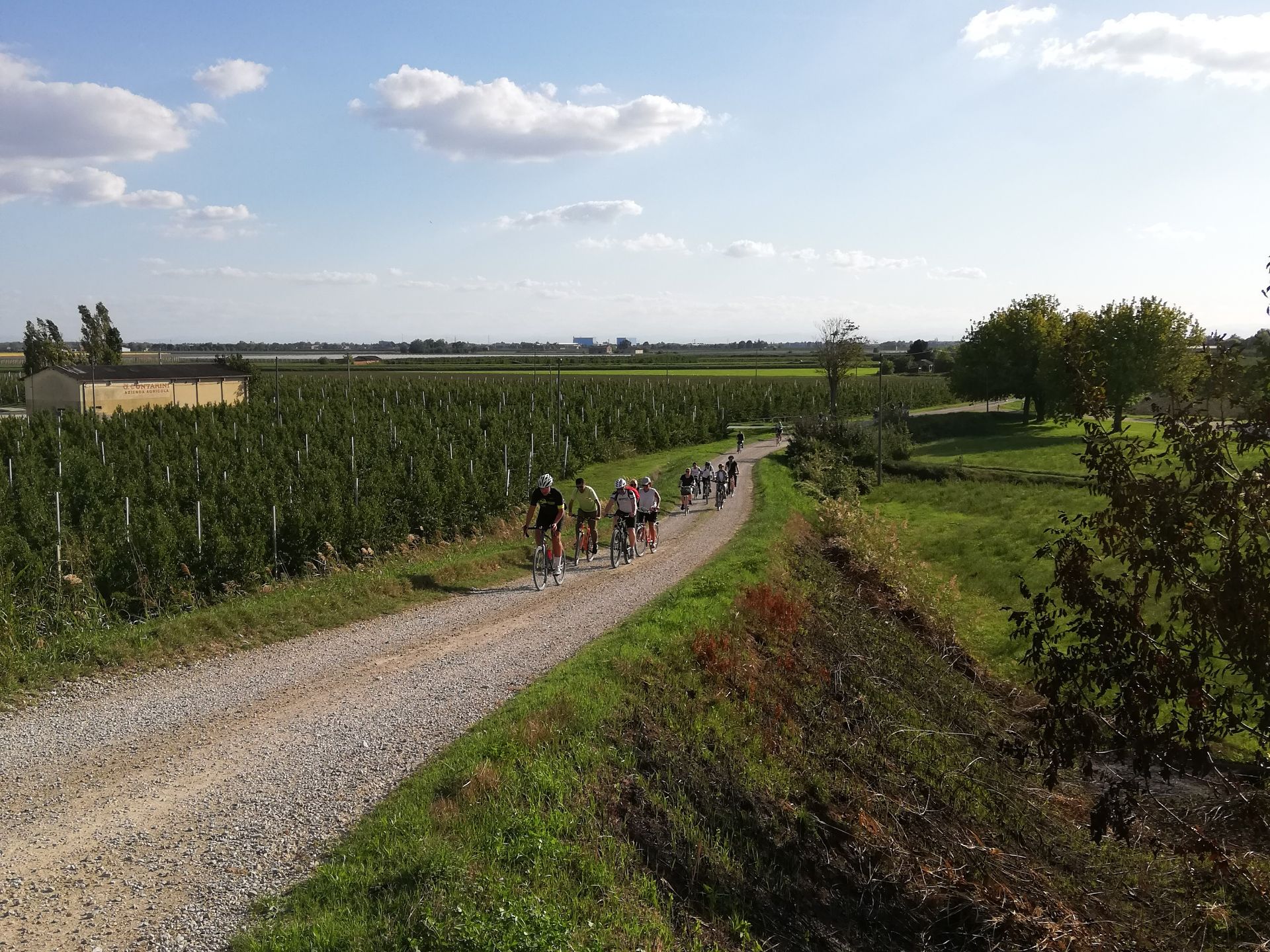 Provincia di Ravenna