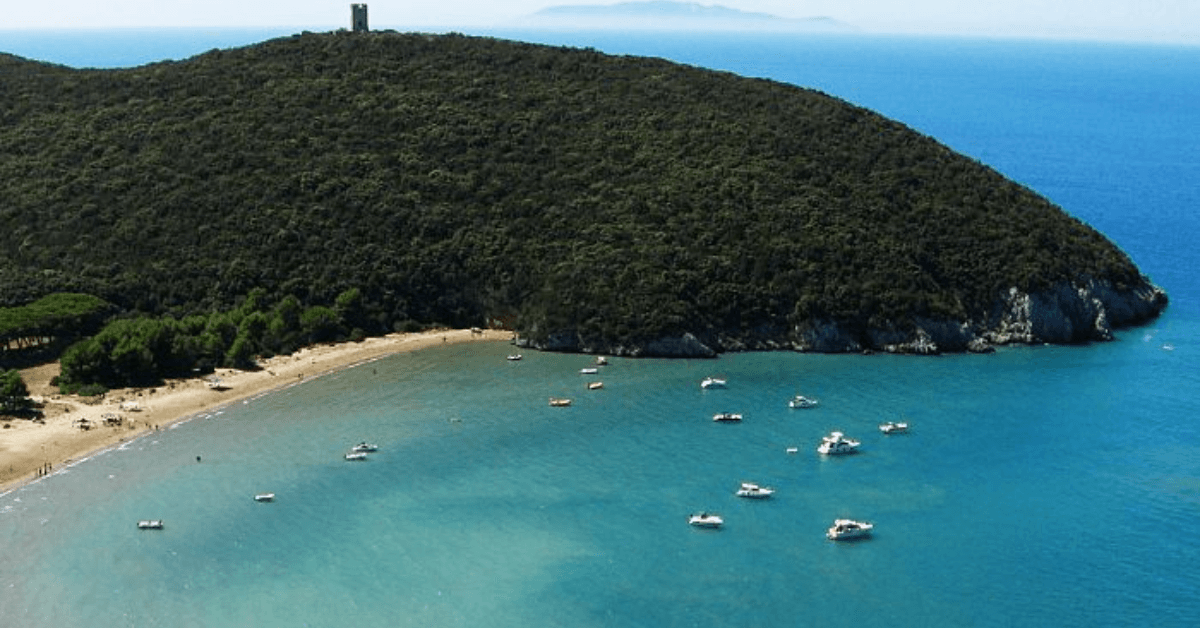 Cala di Forno 2026: Guida Completa all'Oasi della Maremma