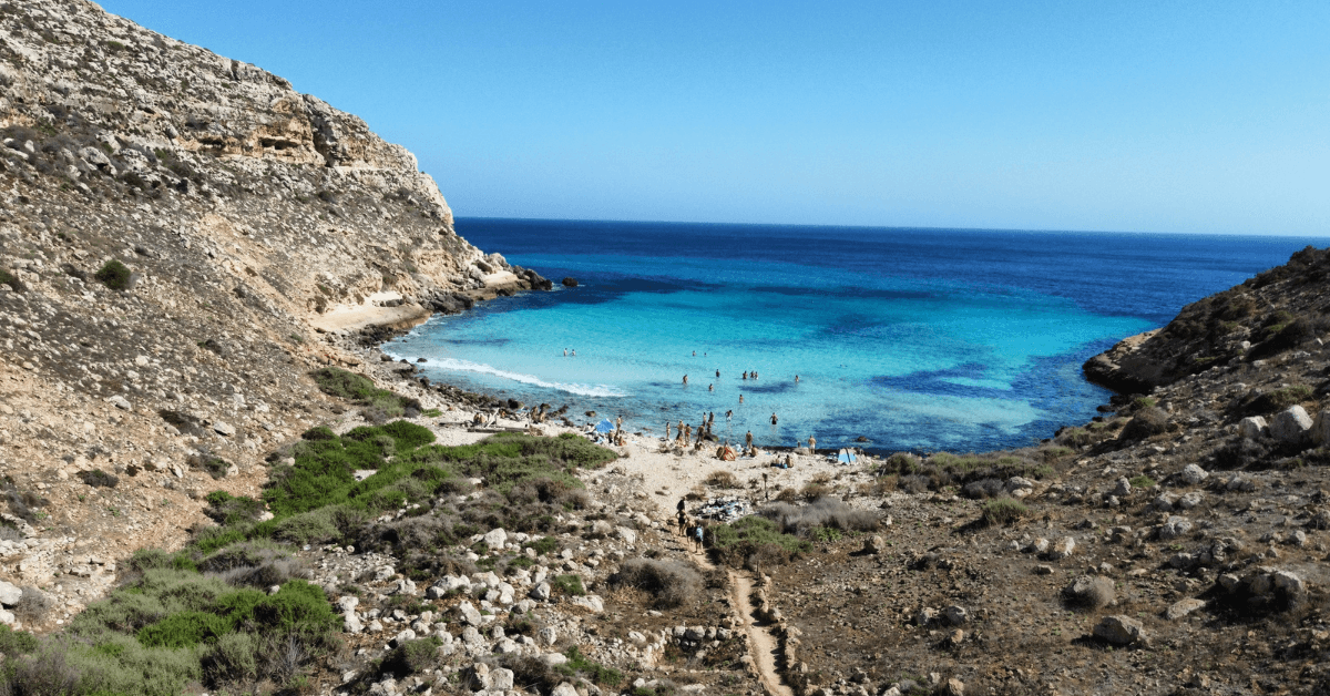 cala pulcino