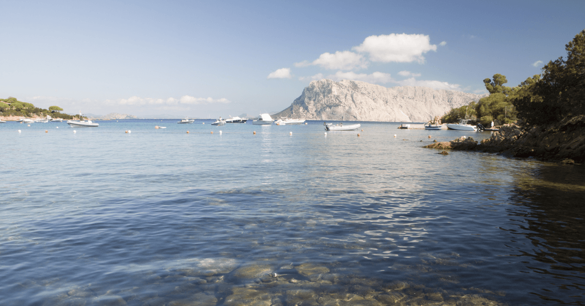 cala suaraccia