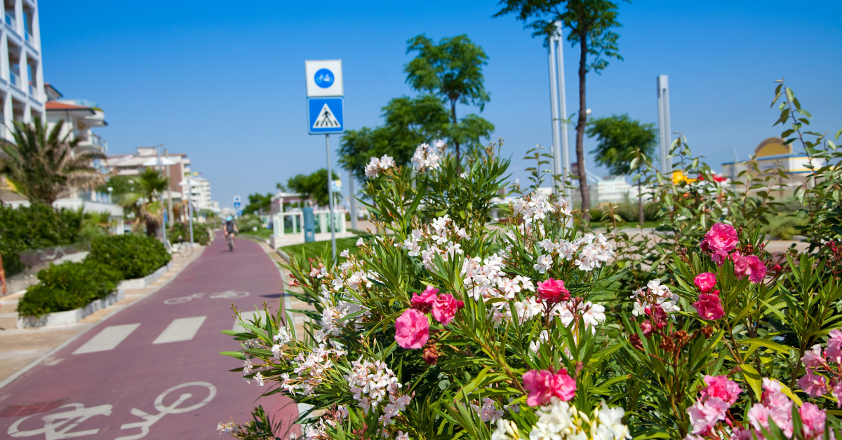 riccione