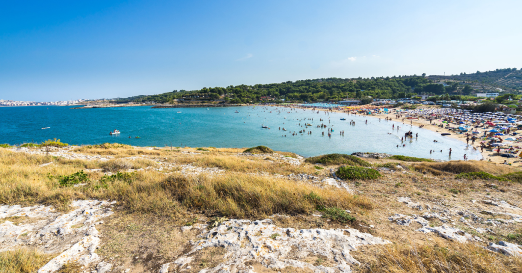 Le 5 migliori spiagge a Molinella-vieste-spiaggia-di-molinella