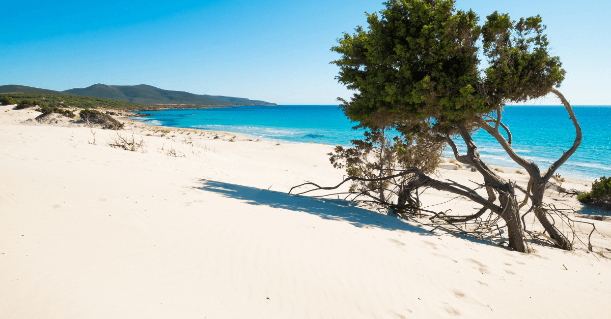 migliori spiagge sardegna