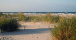 spiagge dune italia