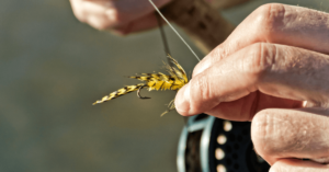 spiagge pesca sportiva campania