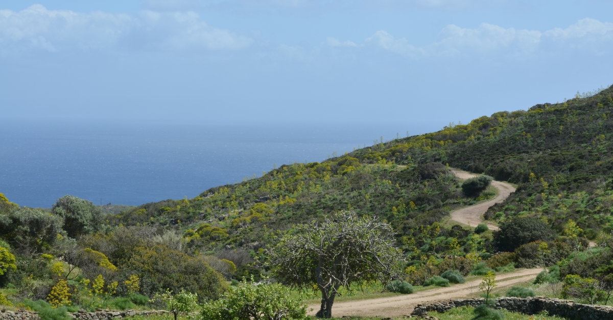 asinara
