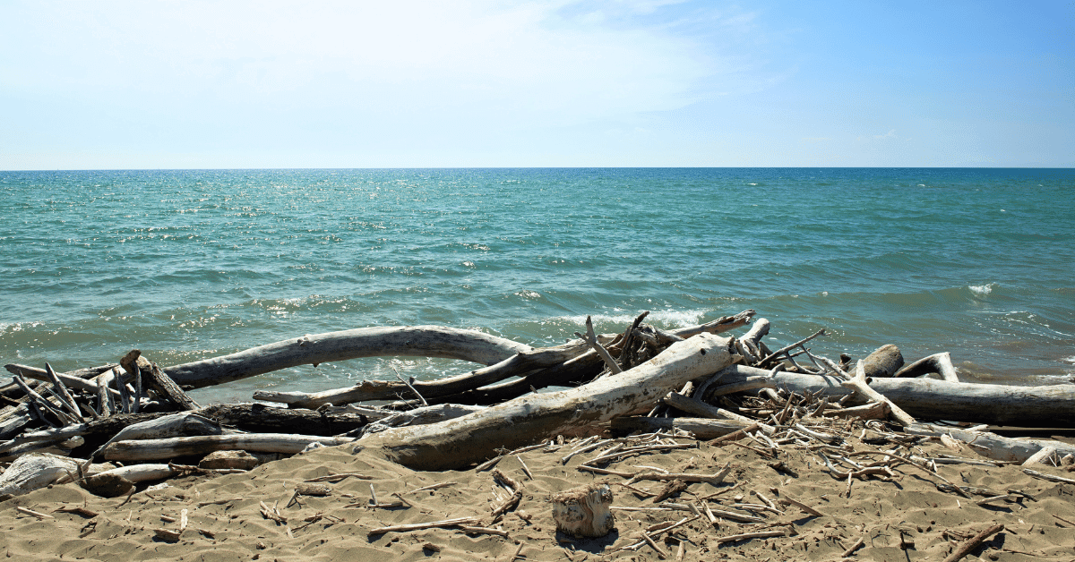 spiagge orbetello