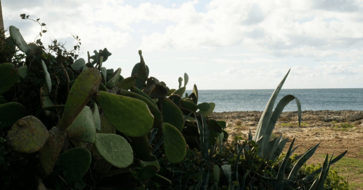 Alla scoperta delle migliori spiagge di Palagiano Spiagge.it