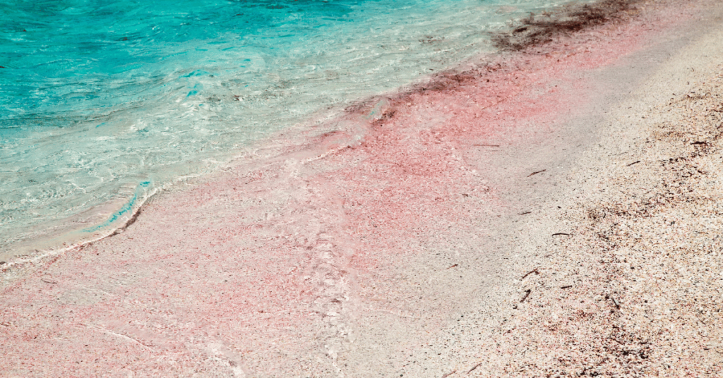 spiagge sabbia rosa, spiagge italiane, vacanze al mare, sardegna, puglia, sabbia rosa