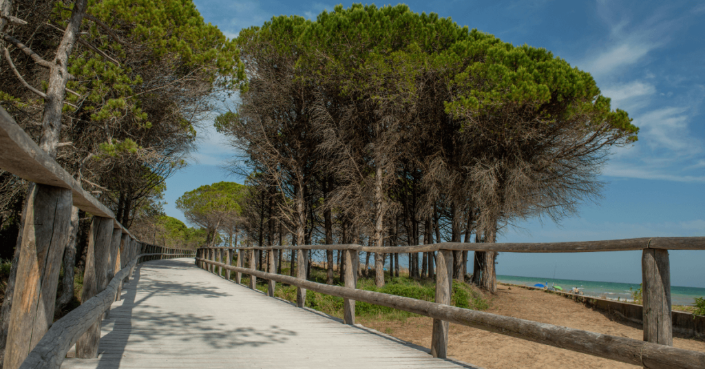 spiagge san michele al tagliamento