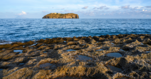 spiagge ventotene