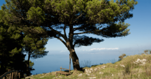 spiagge massa lubrense