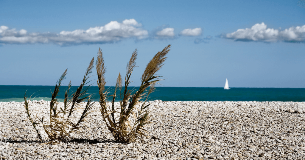 spiagge fossacesia