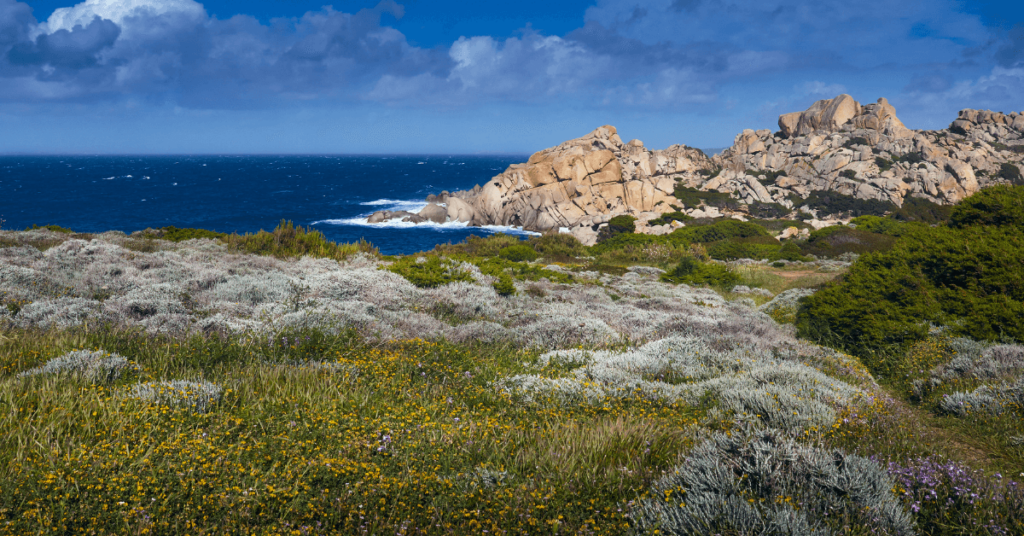 10 posti imperdibili santa teresa di gallura, cosa vedere santa teresa di gallura, sardegna