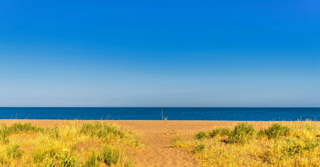 spiagge in basilicata