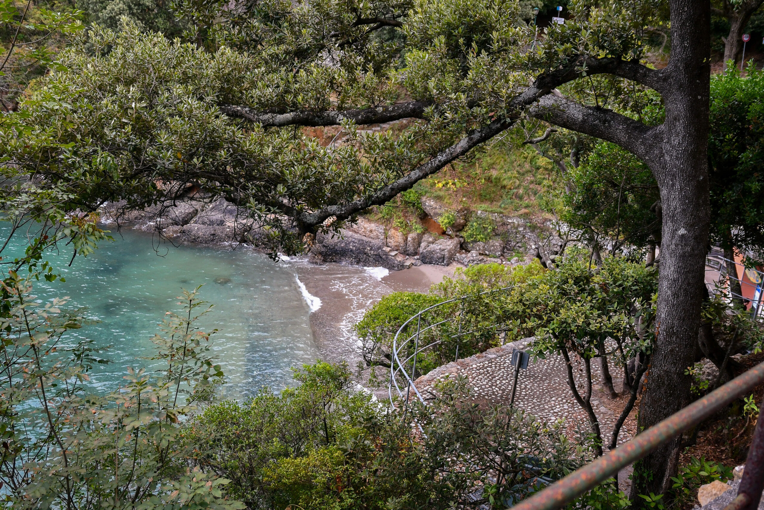 niasca