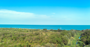 Riserva Naturale Bosco Pantano di Policoro