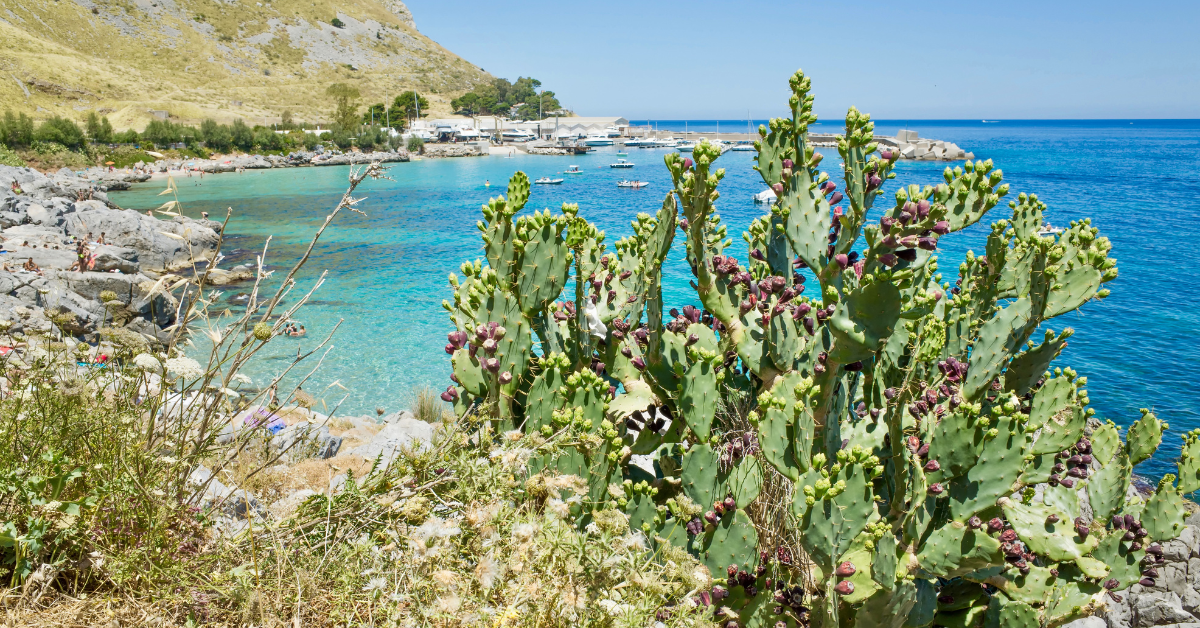 riserva naturale di capo gallo