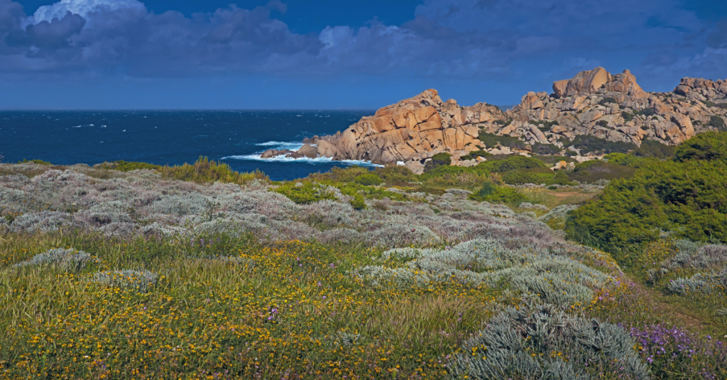 spiagge santa teresa gallura